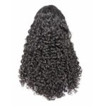 Raw Burmese Curly 13x4 HD Lace Wig