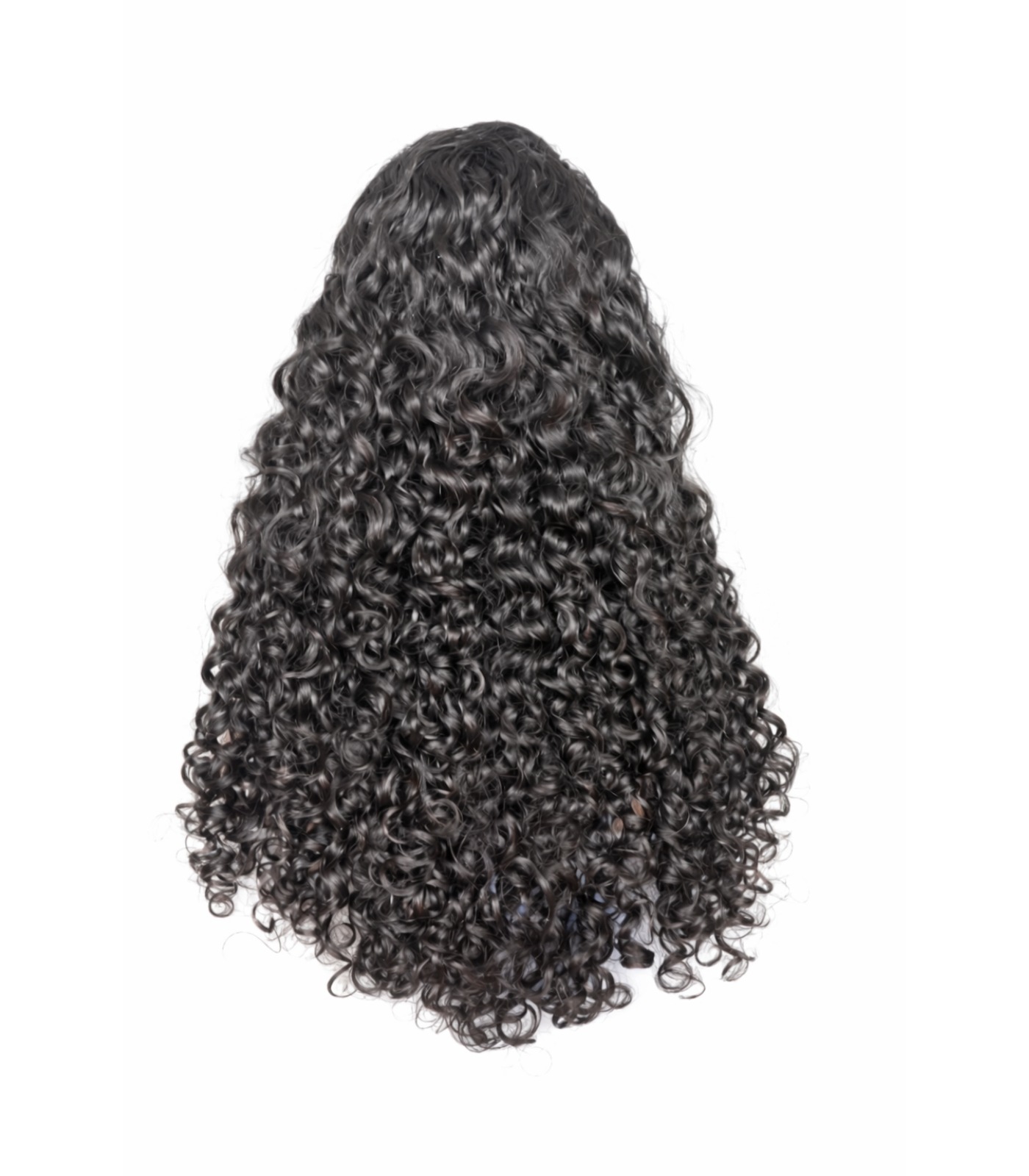 Raw Burmese Curly 13x4 HD Lace Wig Raw Burmese Curly 13x4 HD Lace Wig - Image 1